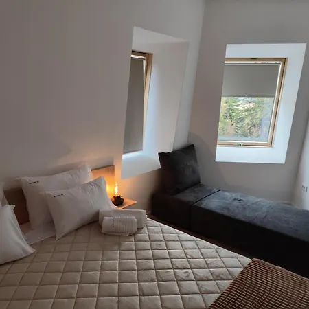 Plava Zlatar *