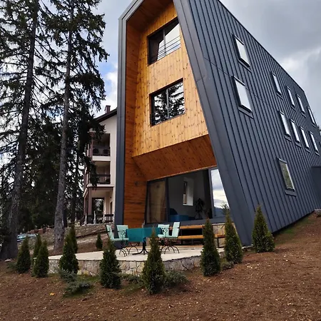 Plava Zlatar *