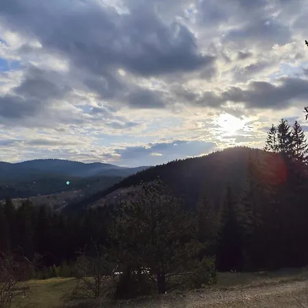 Plava Zlatar