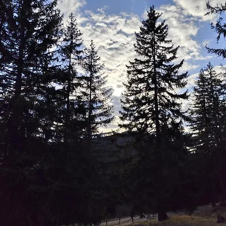 Plava Zlatar * Brdo