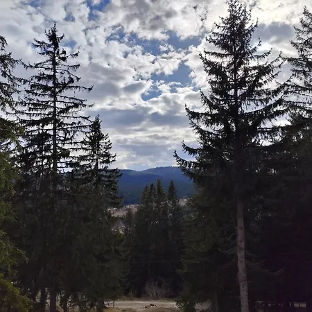 Domek letniskowy Plava Zlatar