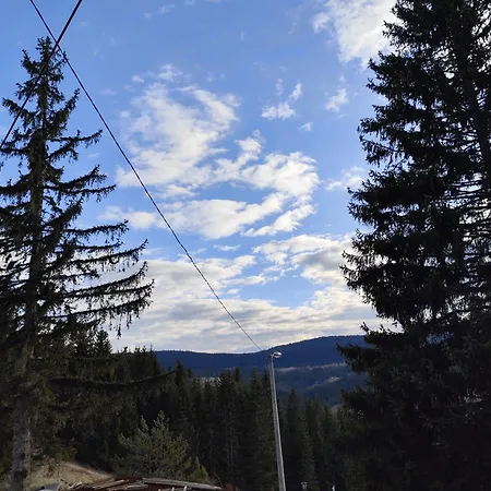 Plava Zlatar * Brdo