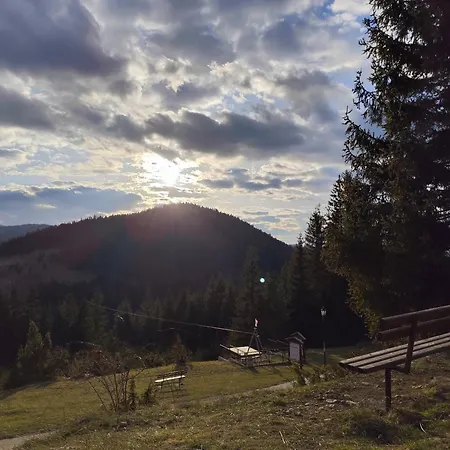 Plava Zlatar