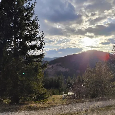 Plava Zlatar Brdo